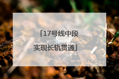 17号线中段实现长轨贯通